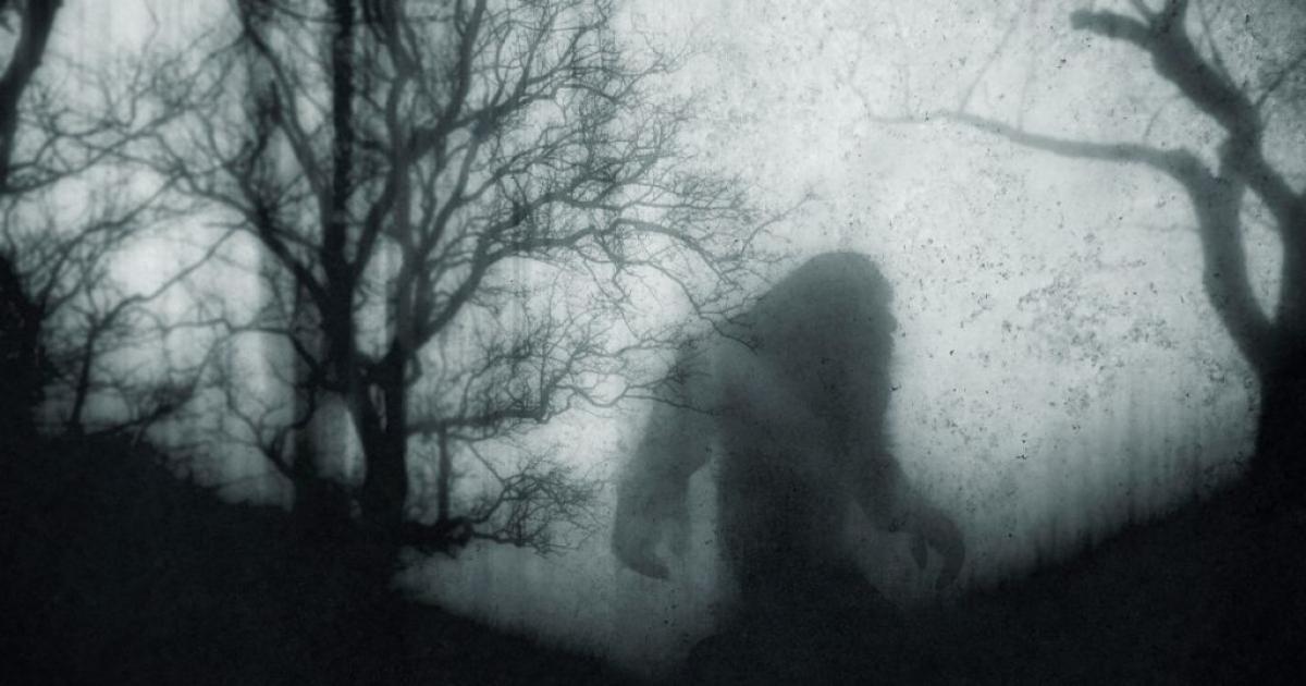 Bigfoot: ¿mito o realidad?