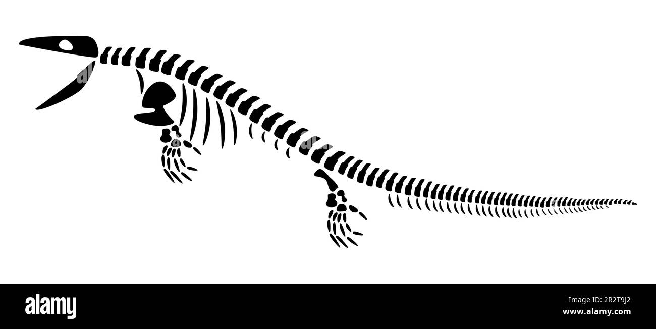 Criptozoología: la búsqueda de animales legendarios
