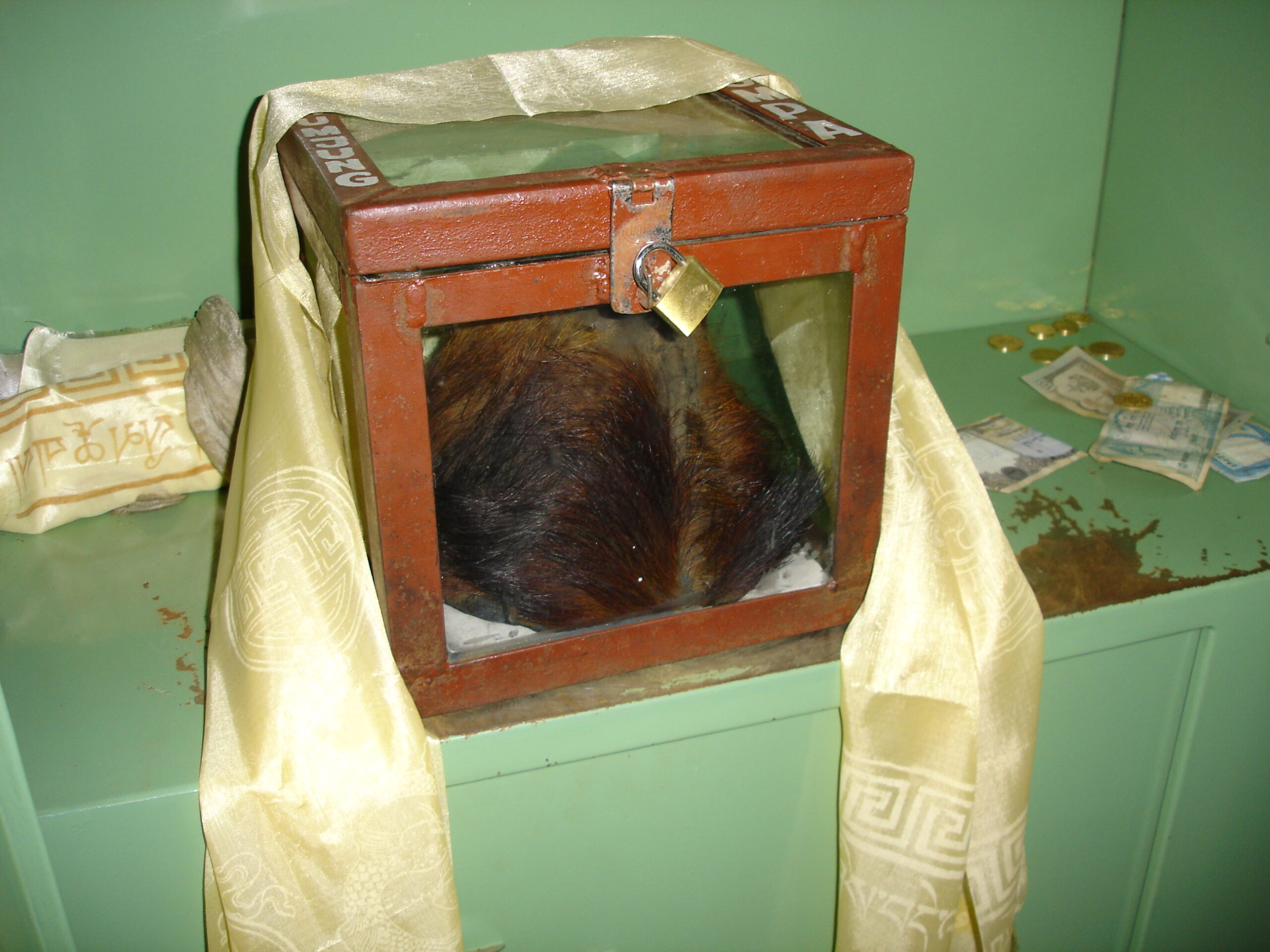Criptozoología y el enigma de los animales extintos