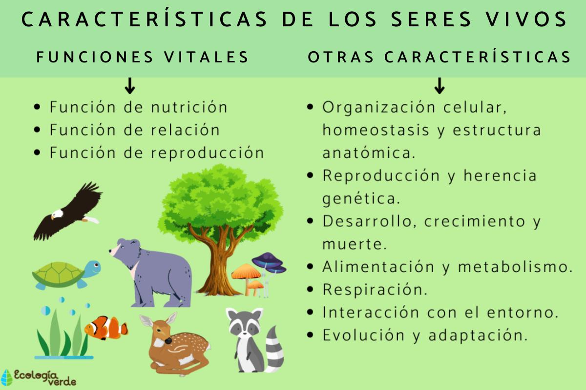 La conexión entre los seres humanos y el más allá