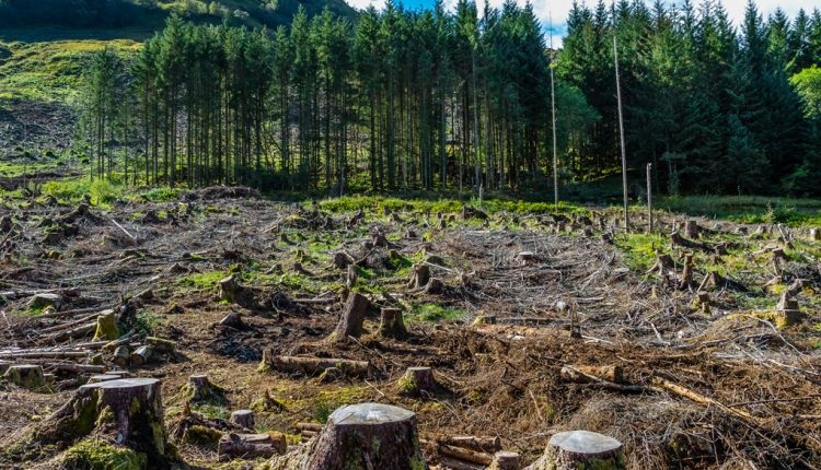 La ley de la conservación de la energía: ¿puede ser violada?