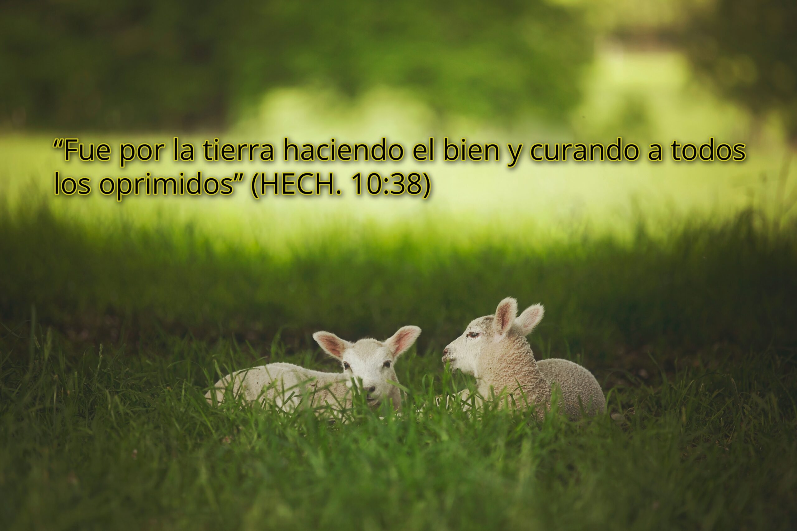 La verdad detrás de los casos de possessiones demoníacas y sus terapias de liberación y sanación espiritual