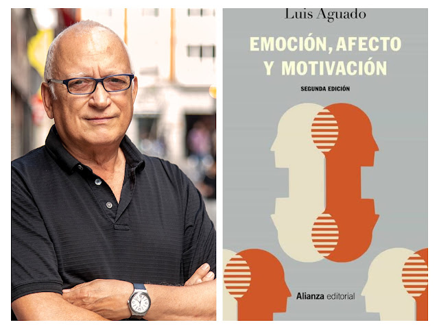 Las casas astrológicas: un vistazo a nuestras áreas de experiencia y potencialidades